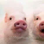 Avatar of Asad Nawaz